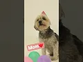 Mom