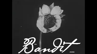 Daya - Bandit (Stripped) (Official Lyric Video)