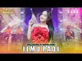 Download Lagu SISKA AMANDA - ILMU PADI I Mahesa Music