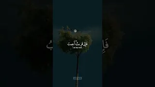 يارب ندعوك في خجل ونعلم أن نا بئس العبيد وأنت ن عم الرب و ن عم الإله  يارب ندعوك في خجل ونعلم أن نا بئس العبيد وأنت ن عم الرب و ن عم الإله