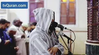 تلاوة جميلة من سورة فاطر للقارئ محمد عبادة دندنها