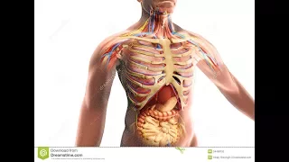 رقية لكل الأمراض إسمعها بإذن الله تشفى 3 للشيخ ياسر الدوسري 