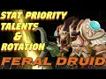 TBC Feral Druid PvE QUICK Guide Stat Priority Talents and Single Target DPS Rotation