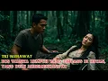 Download Lagu TKI MERAWAT BOS CANTIK LUMPUH YANG DIBUANG DI HUTAN, YANG DULU MEREMEHKANNYA