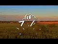 Morgan Wallen - Miami (Lyrics) feat. Lil Wayne & Rick Ross