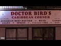 Download Lagu 06. DR BIRDS