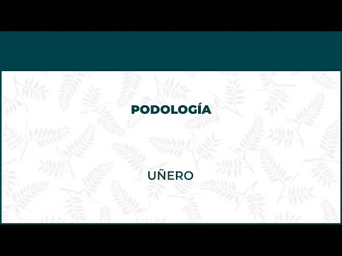 Uñero o Uña Clavada. Podología - FisioClinics Madrid