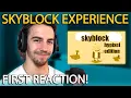 Tdot reacts to Technoblade s Hypixel Skyblock Experience