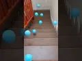 Download Lagu Oddly Satisfying ASMR || Bola jatuh dari Tangga #shorts #reels #stairs #satisfying #asmr
