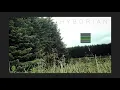 Phlocalyst - Parapluie (feat. m e a d o w)