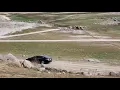 Tour in Millerton Lake 2021