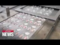U S secures enough COVID-19 pills for 10 million Americans