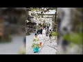 Download Lagu Getting Married in Japan | BRITISH-JAPANESE COUPLE