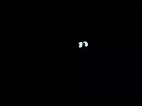 Eyes