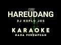Lagu DJ KOPLO HAREUDANG KARAOKE TANPA VOKAL