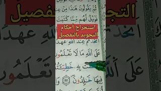 استخراج أحكام التجويد بالتفصيل علم التجويد برواية ورش مع أم سيرين حفظ البقرة تعليم أحكام 