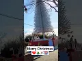 Download Lagu Merry Christmas Korea 🎄🇰🇷 2022 #shorts #ringkuchayan #koreavlog #trending #merrychristmas
