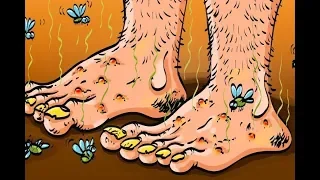 ماذا يحدث لجسمك اذا لم تستحم لمدة اسبوع او حتي شهر كامل 