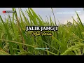 Download Lagu JALIR JANGJI - RYA FITRIA (SUASANA PESAWAHAN BIKIN ADEM)