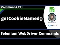 getCookieNamed Command - Selenium WebDriver