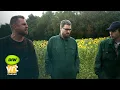 Download Lagu Waar komen al die zonnebloemen vandaan?