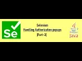Selenium - Handling Authorization popups