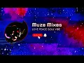 Polo G - Chinatown pt 2 (Sped Up X Muze Mixes)