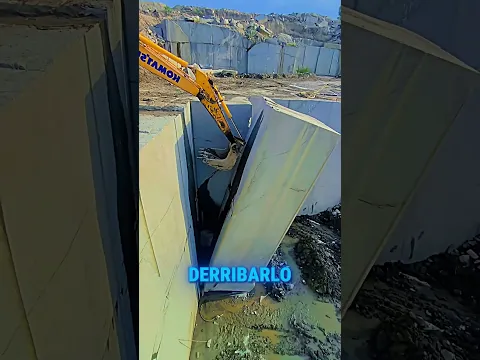 Para Que Lo Hacen?