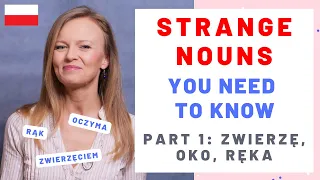 3 irregular nouns explained zwierz oko r ka b1 b2 