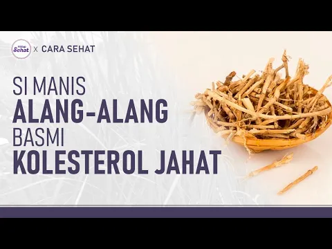 Ramuan Akar Alang-Alang, Turunkan Kolesterol Seketika