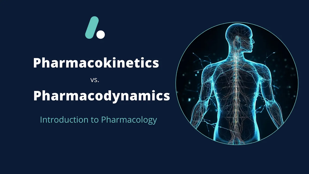Pharmacokinetics vs Pharmacodynamics Explained | Intro to Pharmacology