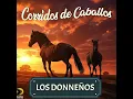 Caballo de Patas Blancas - Los Donneños