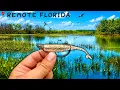 Fishing SECRET Saltwater Ponds for Whatever Bites Redfish Black Drum Speckled Trout