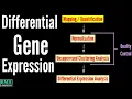 Differential Gene Expression DGE Analysis Differentially Expressed Genes