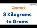 How to Convert 3 Kilograms to Grams 3kg to g