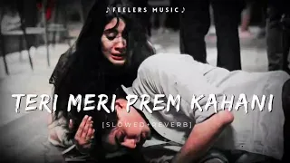 Download Teri Meri Prem Kahani | [Slowed+Reverb] | Feelers Music MP3