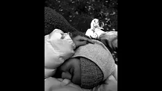 Cheb Nadjib Darba Mora Darba Slowed Reverb Bass  Cheb Nadjib Darba Mora Darba Slowed Reverb Bass