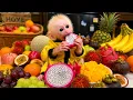 Baby Monkey Bibi Loves Dad s Delicious Healthy Food
