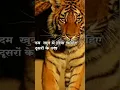 dusron ke talve chatne se koi mashhur nahin hota//💥💯👌🔥🔥😈😈😎😎