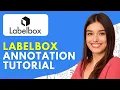 How to Use Labelbox Image Annotation 2026 Labelbox Annotation Tutorial