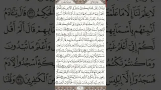 سورة البقرة من الآية 30 إلى الآية 37 القارئ الشيخ ماهر المعيقلي 