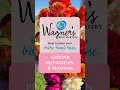 How to Plant a Bare Root Rose