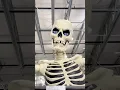 Download Lagu Costco’s GIANT Ground-Breaking Skeleton with LCD Eyes 👀🎃 | Halloween 2025 Find!#costcofinds