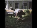 Concrete - Malcolm Todd