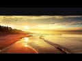 Robin Schulz (ft. Jasmine Thompson) - Sun Goes Down (Urbanstep Remix) [1080p60]