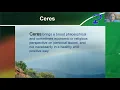 Ceres Yes it is Important in Astrology