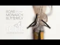 Monarch Butterfly Life Cycle - INSANELY UP CLOSE