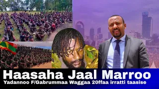 Haasaha JaalMarroo Dirribaa Tibbana Taasisan Keessaa Dhimma Maaltu Oromo Mudate Jedhurati 