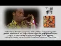 Fela Kuti - Yellow Fever