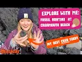 Jurassic Coast Fossil Hunting: Ammonites, Ichthyosaurs and more!!